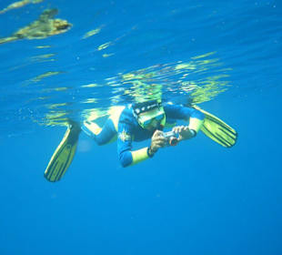 Beim schnorcheln