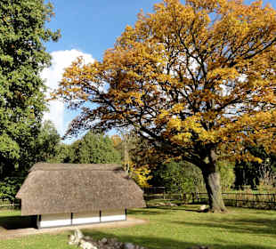 Herbstspaziergang durch den Bürgerpark Bremen