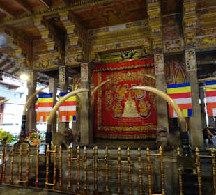Geführte Touren Your Tour Sri Lanka
