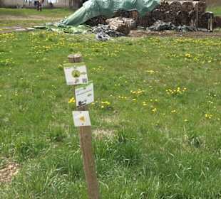 Heckenerlebnispfad Apfelstetten