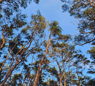 Wandern Dzwirzyno