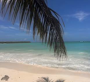 Isla Saona 