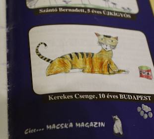 Котэ