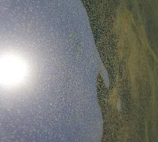 Вид из-под воды, что то типа пыльцы, вода мутная