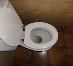Neueste Model der Damentoilette