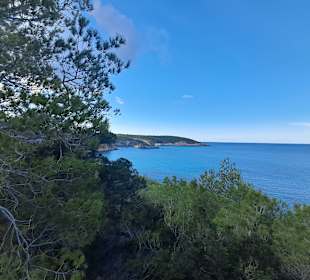 Platja de Cala Portinatx