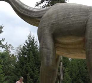 Dinosaurier Museum Altmühltal