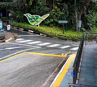 Mount Imbiah Nature Trail Startpunkt