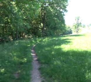 Premiumwanderweg "hochgelegen"