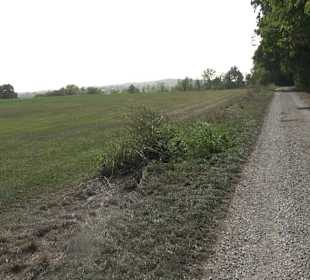 Wanderung zur Burgruine Liebenau