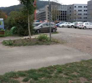 Baumkronenweg Waldkirch