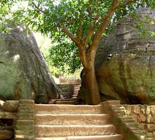 Felsenfestung Sigiriya