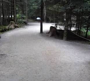 Dinosaurier Museum Altmühltal