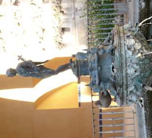 Dettaglio del giardino