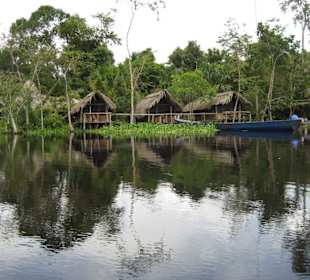Orinoco- Tour