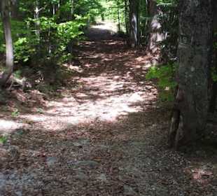 Naturbelassen der Anstieg zum Gipfel