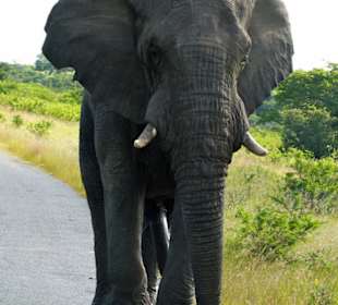 Hluhluve Game Reserve