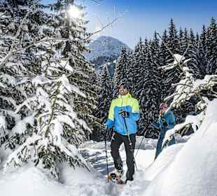 Wandern Pertisau