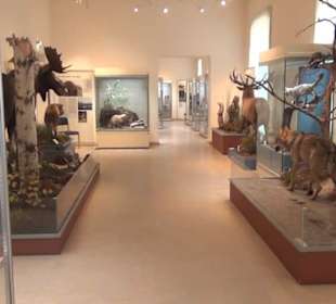 Naturkundemuseum