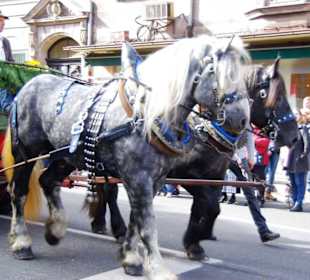 Spielmannszug der FFW Herzogenaurach