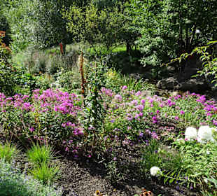 Eindrücke vom Rundgang durch die Gärten