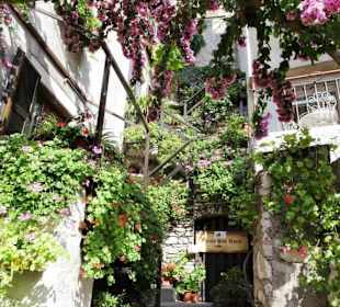 Streifzug durch die Altstadt von Limone
