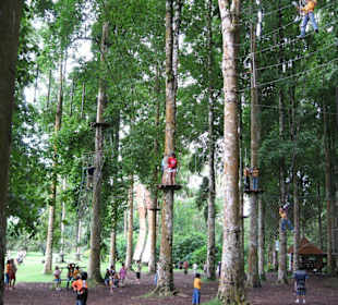 Hochseilgarten
