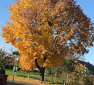 Wandern Bad Waltersdorf