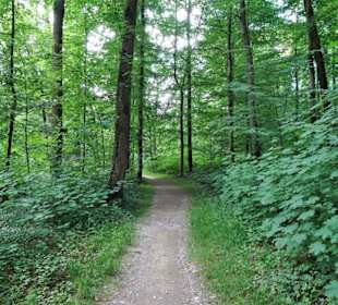 Impressionen vom Rundgang durch den Bamberger Hain