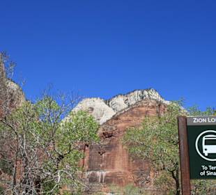 Shuttlebushaltestelle im Zion Nationalpark