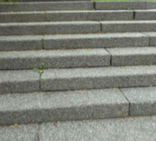 Baumlehrpfad Glacis Park