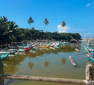Bentota Fluss- und Mangroven Tour