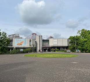 Aquazoo Löbbecke Museum Düsseldorf