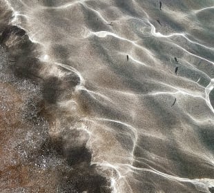 Cala Agulla/ Cala Guya