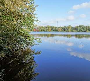Rundgang um den Drielaker See