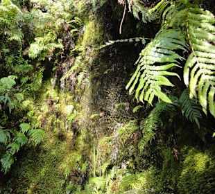 Przydrożny wodospad