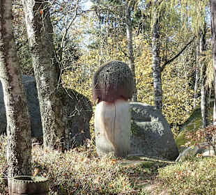 Naturpark Blockheide