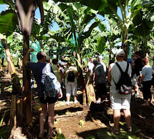 Unsere Gruppe bei der Besichtigung