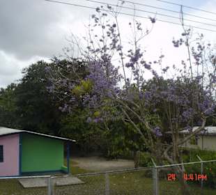 Unterwegs in Venezuela