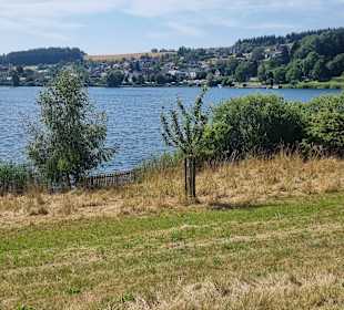 Schalkenmehrener Maar