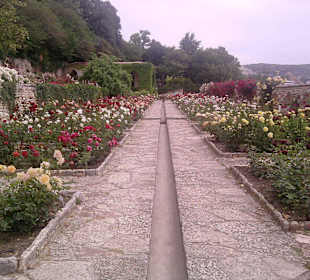 Weg durch den Rosengarten