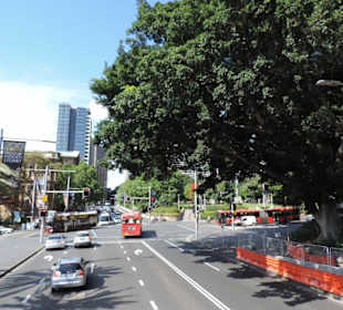 Mit dem Hop-on hop-off Bus in Sydney unterwegs