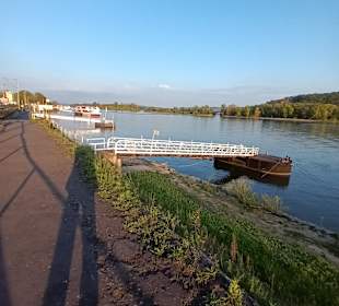 Wandern Rüdesheim am Rhein