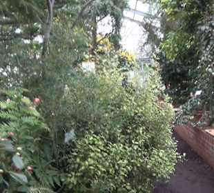 Flora und Botanischer Garten