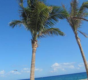 Xcaret