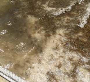 Strand Bavaro Beach Punta Cana 13.06.18