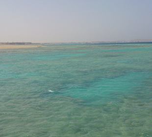 Das Riff zum Schnorcheln