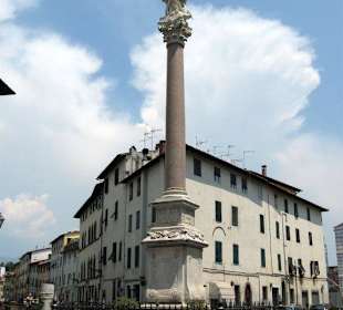 Madonna d. Stellario