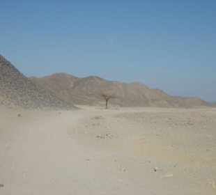Wüste bei Hurghada