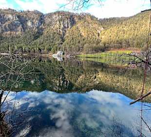 Thumsee